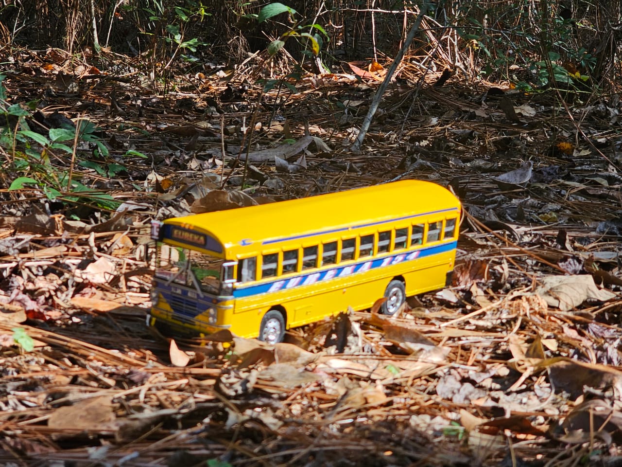 Bus a escala 2